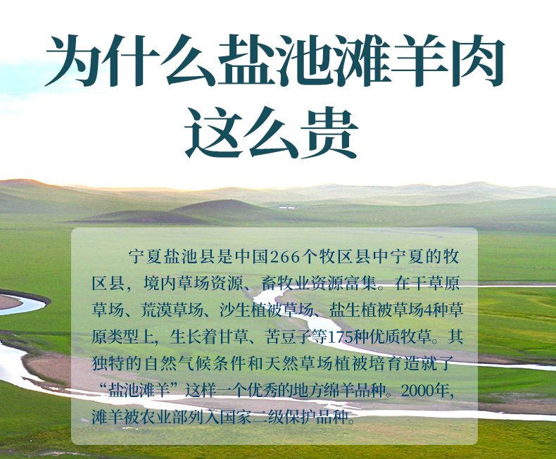 上合峰会指定羊肉 牛穆穆 宁夏盐池滩羊肉串 2斤/60串 图6