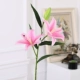 Hoa giả mô phỏng bó hoa đơn phòng khách trong nhà trang trí bàn trang trí hoa trang trí bình hoa cắm hoa - Hoa nhân tạo / Cây / Trái cây