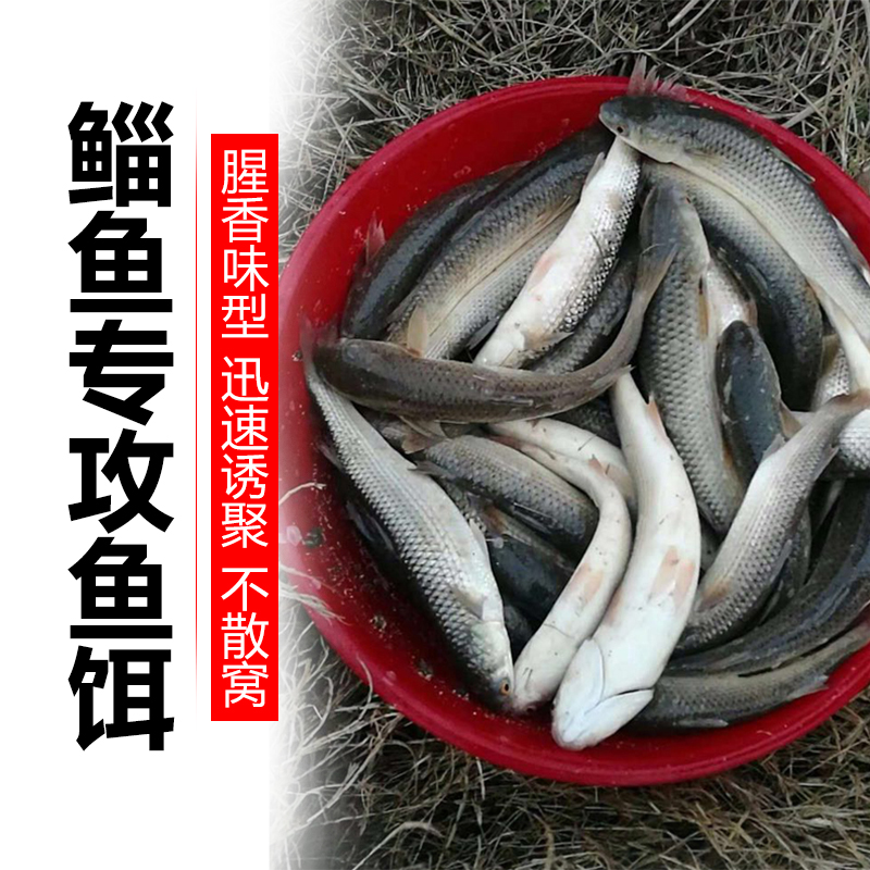 Sichuan mullet bait medicine and wine additives mullet bait formula specializes in super-lure mullet perch mullet bait fish food