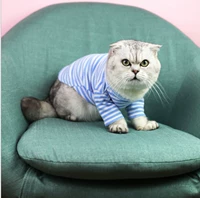 Синяя толстовка