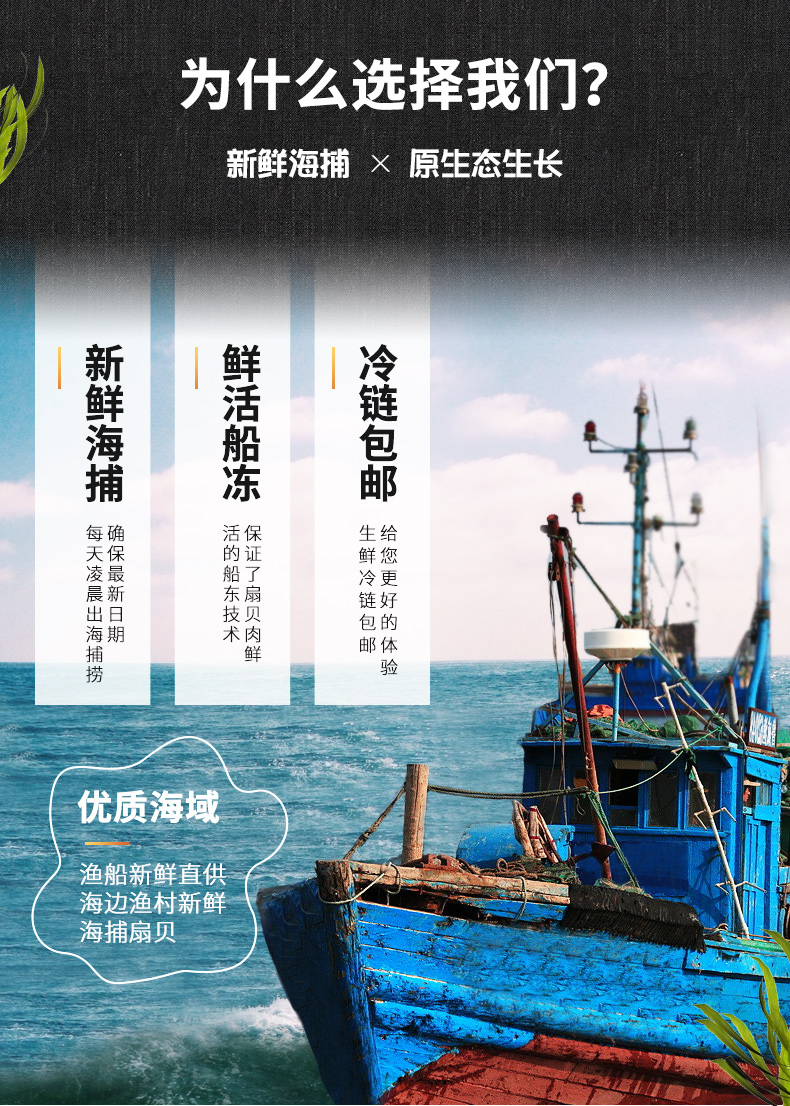 鲸御鲜 超大鲜活熟冻野生扇贝肉  500g*3件 图1
