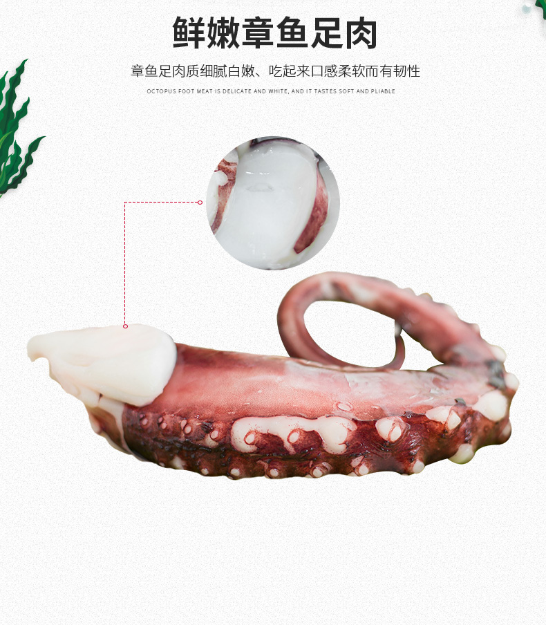鲸御鲜 鲜活超大章鱼足 1000g 约4根 图4