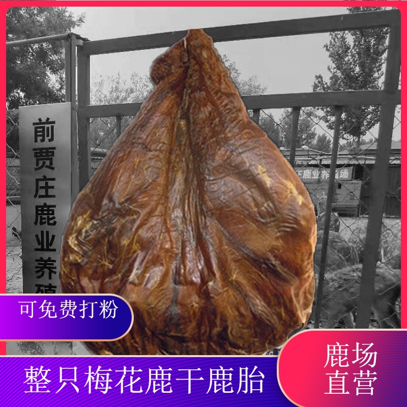 Jilin sika deer dried deer fetus complete deer placenta deer placenta deer placenta new blood fetal ginseng paste raw materials can be powdered as a whole