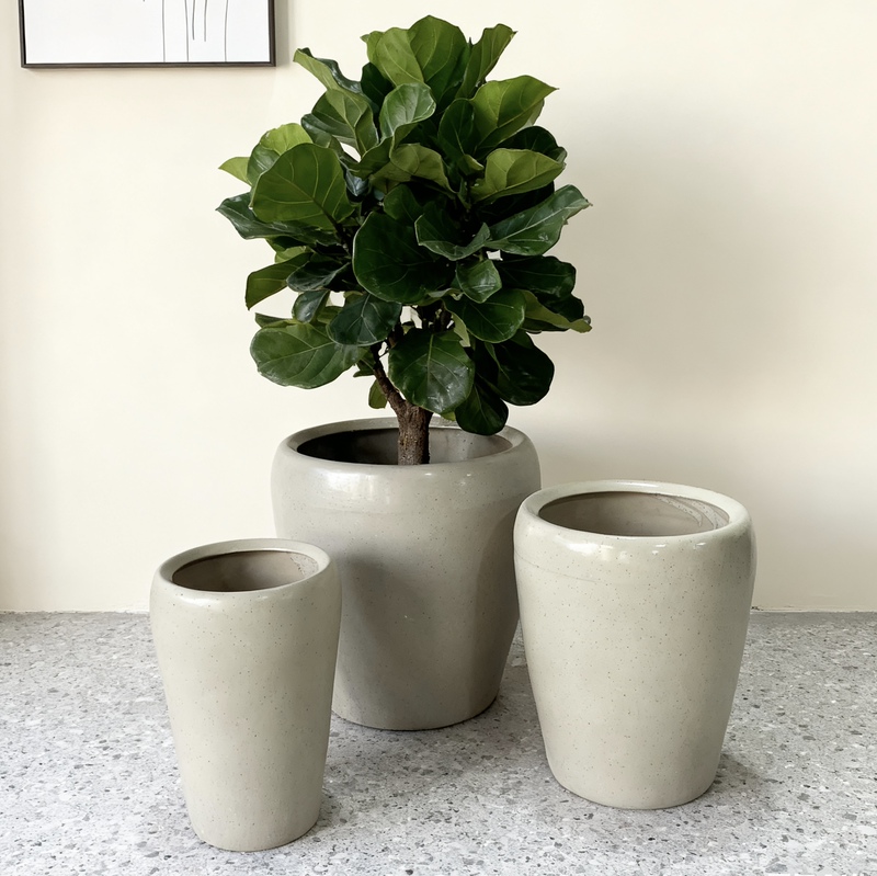 Beige Money Tree, Bougainvillea, Dragon Blood Tree, Large-Diameter Flower Pot, High-Temperature Ceramic