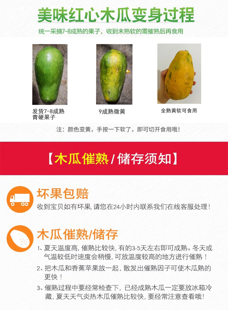 青孖集 云南红心牛奶木瓜 现摘现发 10斤 图1