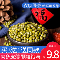 Mung beans 500g buy 3 get 1 Gu Juxiang fresh large grain farmhouse mung beans can be peeled red beans peeled grain