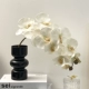 Черные три волны ваз+белый фалаенопсис
