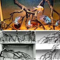 Yellow pear branch landscaping fish tank sunk wood antler branch yellow pear tree branch native tank rainforest tank climbing pet original ecological landscape