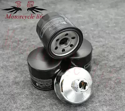 Suitable for Huanglong 500 BN BJ Huanglong 600GS Lion cub 502 Blue Baolong 300 oil filter core filter filter