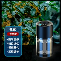 Записки с ароматом цветов, зарядка модель-[Osmanthus] Start and Stop с автомобилем | Пятиступенчатая корректировка |