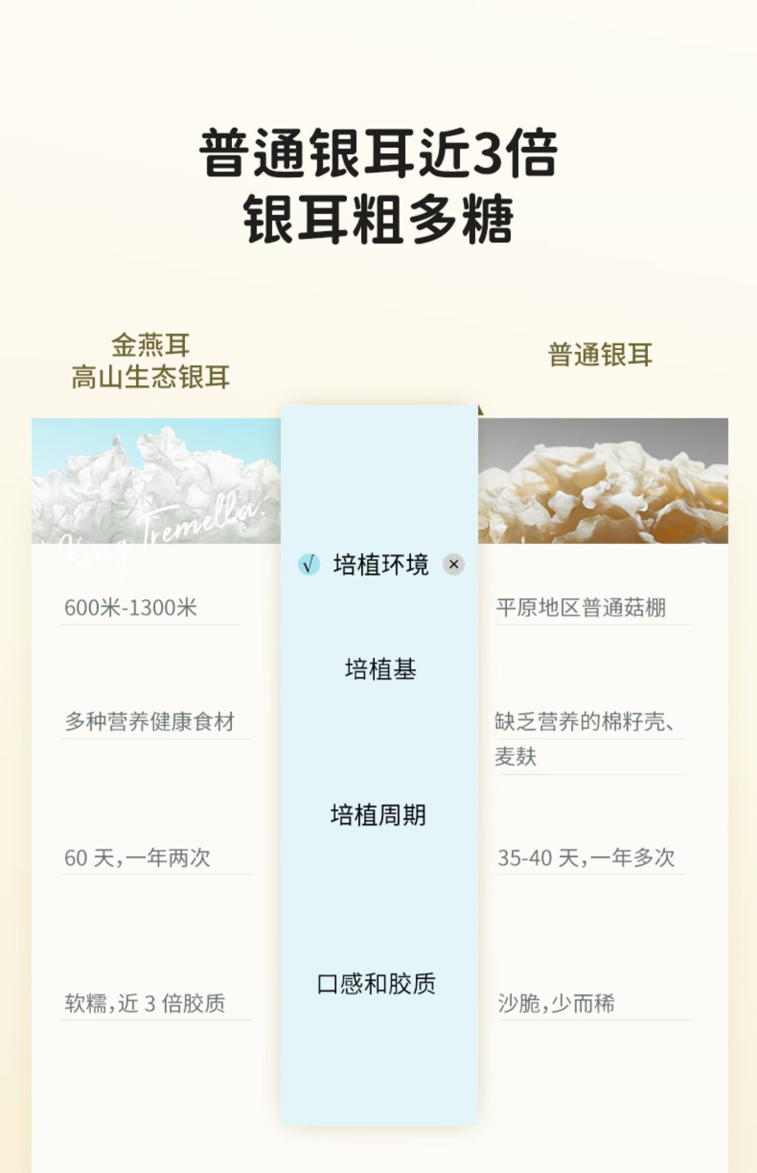 金燕耳高山生态有机银耳干货便携7天装