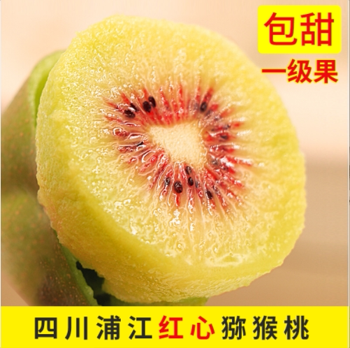 九蜜果 四川蒲江 红心猕猴桃 6个中大果 单果70~90g 天猫优惠券折后￥12.9包邮（￥22.9-10）