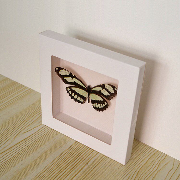 3D Stereo Photo Frame Paper A4 Frame Immortal Flower Specimen Roll Paper Frame DIY Manual Packaging Window Box