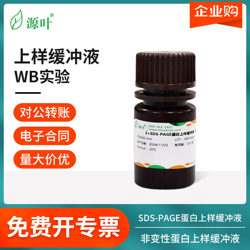 源叶试剂蛋白上样缓冲液2x4x5x含DDT/巯基还原剂非变性非还原型