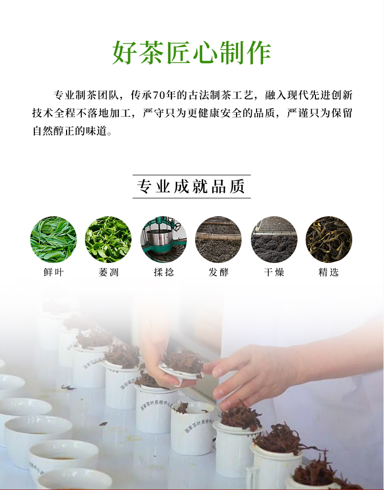 【买1送1】英红牌2022新茶正宗英德红茶