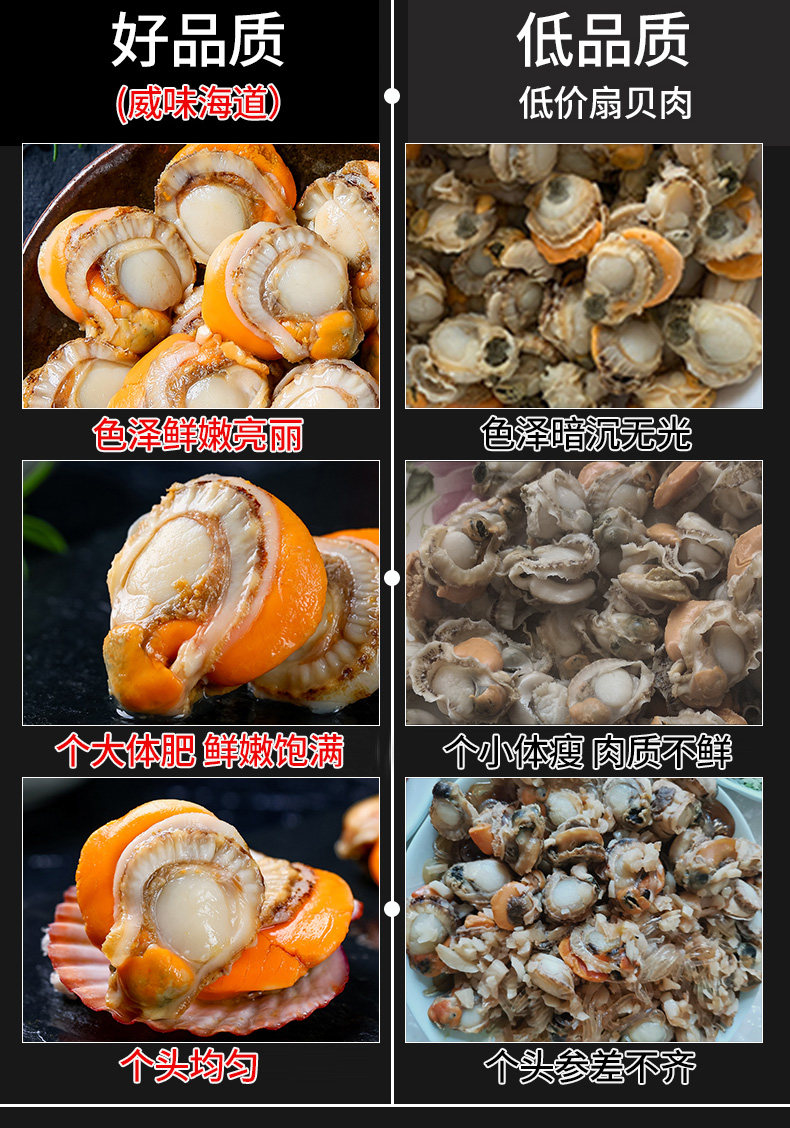 Подробная страница Raw Scallops_05.jpg