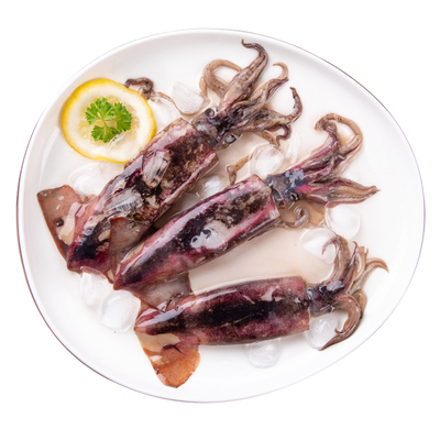 大连新鲜野生冷冻小鱿鱼500g