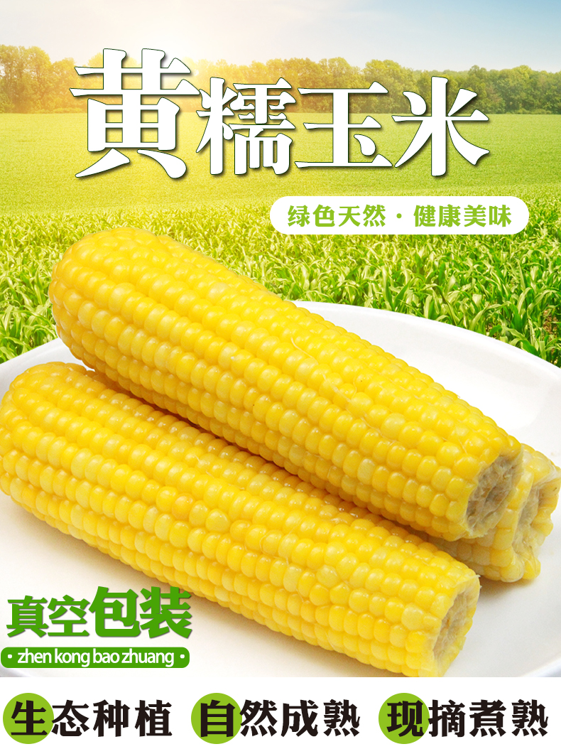 东北即食新鲜甜糯玉米真空300g*8穗