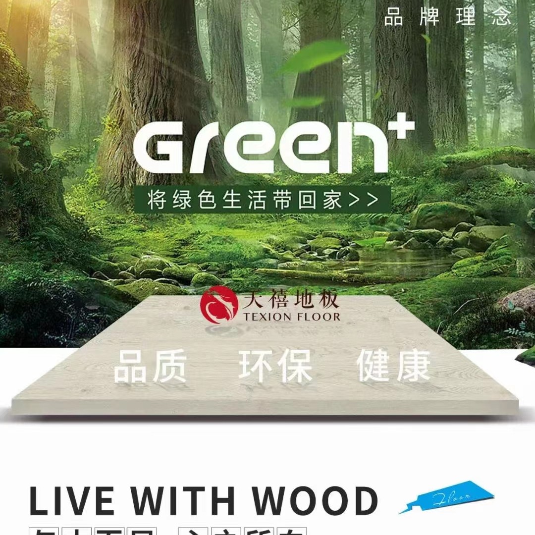 天禧木地板的LOGO