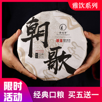 Hipiachi tea Puer tea cooked tea cake tea Yunnan Seven Pizza Tea Old Banzhang Ancient Tree Tea Cooked Pu Chaosong 357g