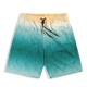 Quần short đi biển của nam giới nhanh khô bên bờ biển kỳ nghỉ quần short hoa cỡ lớn lỏng triều thương hiệu quần mùa xuân nóng quần bơi nam - Quần bãi biển