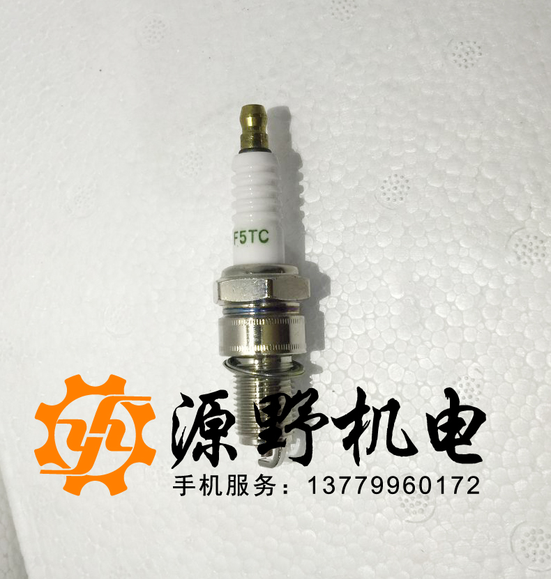 Source wildgenerator spark plug 3000KW3 kilowatts 5 6 8 10KW petrol dynamo