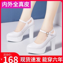 Real leather cheongsam model walking show t stage performance high heels white big code 4143 yard waterproof table coarse heel single shoe woman