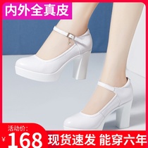 Model Walking Show High Heels Female Qipao Ttai Show White Size Code Waterproof Bench Coarse Heel Genuine Leather Round Head Single Shoes