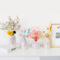 Nordic creative light luxury simple desktop small vase ins Wind living room TV Cabinet full Sky star flower arrangement dry flower decoration