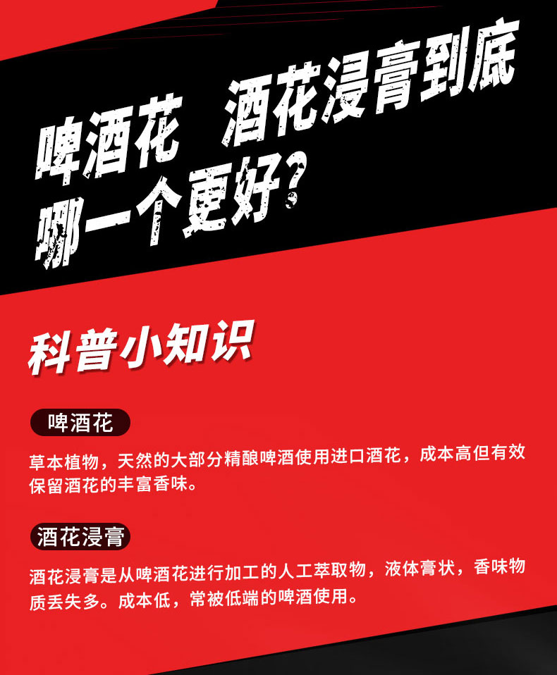 德国工艺精酿网红啤酒500ML*12罐