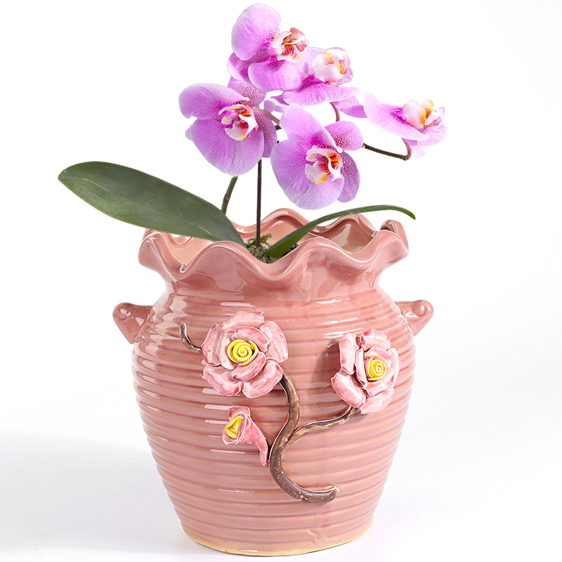 Large extra Large diameter running the high cliffs rose mint mage orchid flesh POTS ceramic old basin