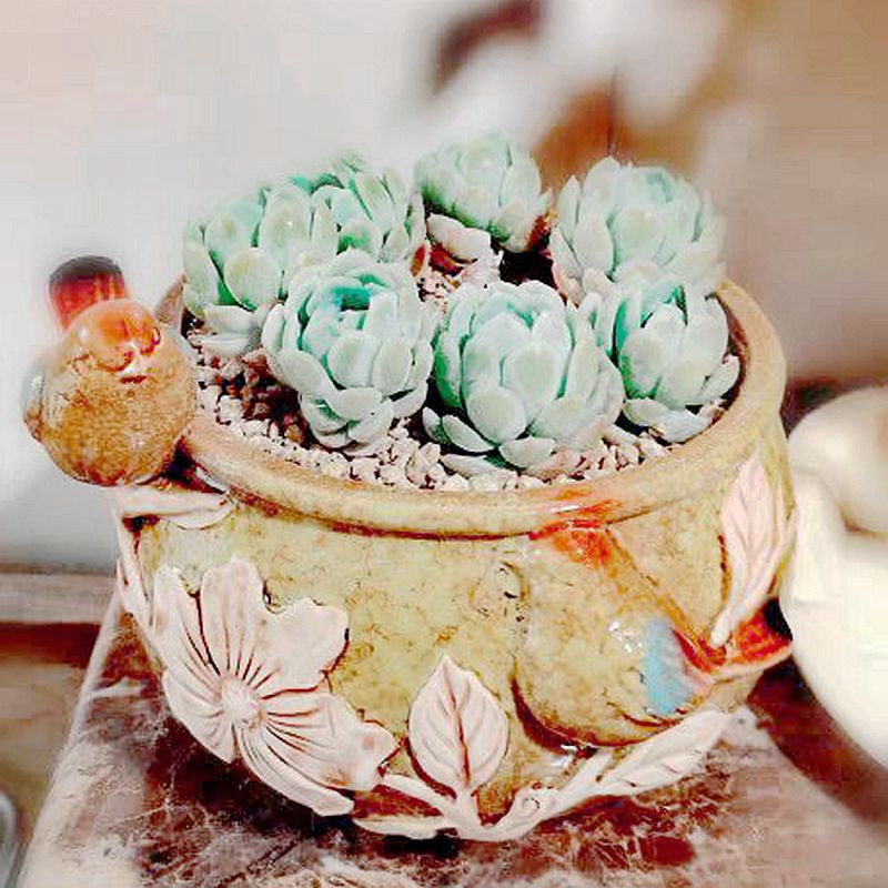 Butterfly furnishing articles of large diameter high cliff old black mage, fleshy running the green flowerpot ceramic landscape the plants potted the plants