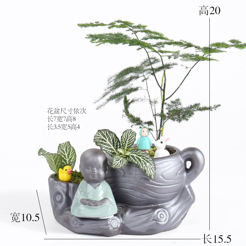 Large green asparagus creative move, lovely jiangnan water flowerpot ceramic purple small house more meat meat the plants