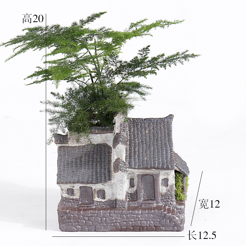 Large green asparagus creative move, lovely jiangnan water flowerpot ceramic purple small house more meat meat the plants