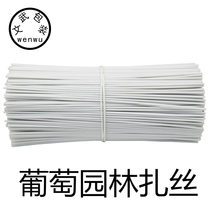 Grape tie wire Round flat 10000 bundles Fig kiwi branches Shelf reuse garden tie wire