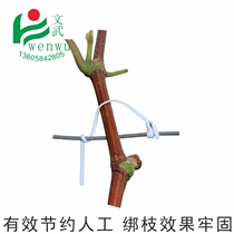 Strap grapes tied to 12 cm1000 straps of flat line tape strap tie strap tie strap tie wire tie tie