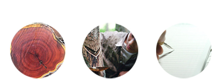 TM Rosewood Ming -стильный шкаф детализированных деталей_37.jpg