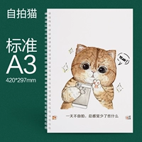 Селфи-кошачьи стандарт A3