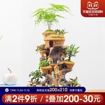 Meat plant flowerpot large diameter micro landscape fleshy large balcony decoration creative combination potted platter Pot Pot