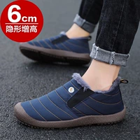 Синий (увеличение внутри)