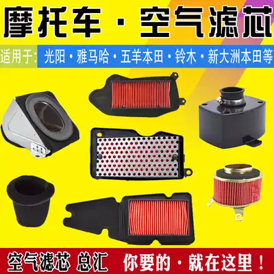 Xunying Lingying Heroic Princess 125 Scooter Fengxiang Fenglang motorcycle Electric bicycle Tricycle Air filter