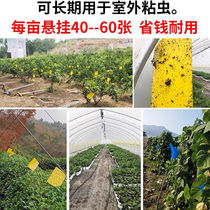 Yellow board double-sided sticky insect board double-sided strong small black fly yellow blue sticky insect board orchard greenhouse vegetable melon fruit lure fruit fly