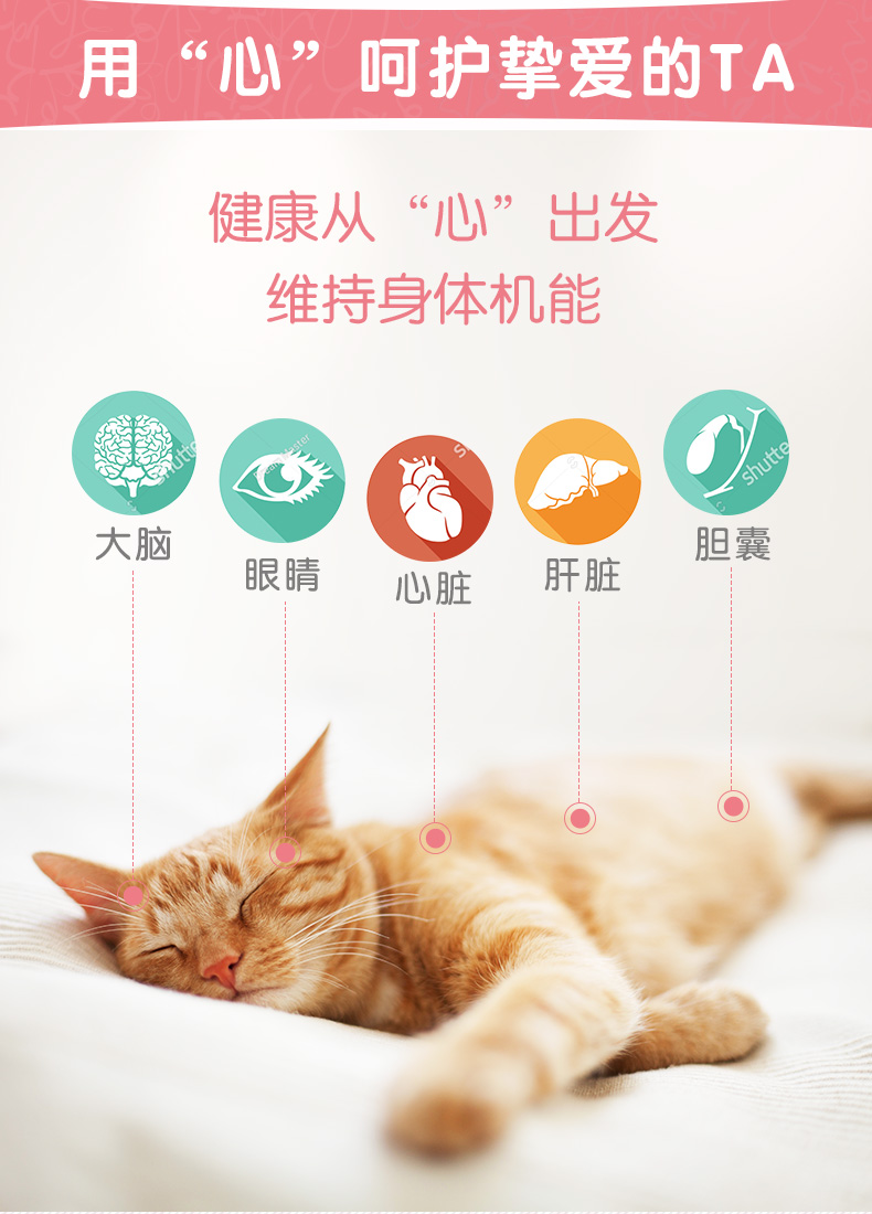 Viên nén mạnh mẽ taurine mèo Mead bổ sung mèo lutein vào mèo mèo già bảo vệ thị lực dinh dưỡng - Cat / Dog Health bổ sung 	sữa cho chó con 1 tuần tuổi	
