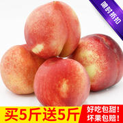 券后19.8元包邮 