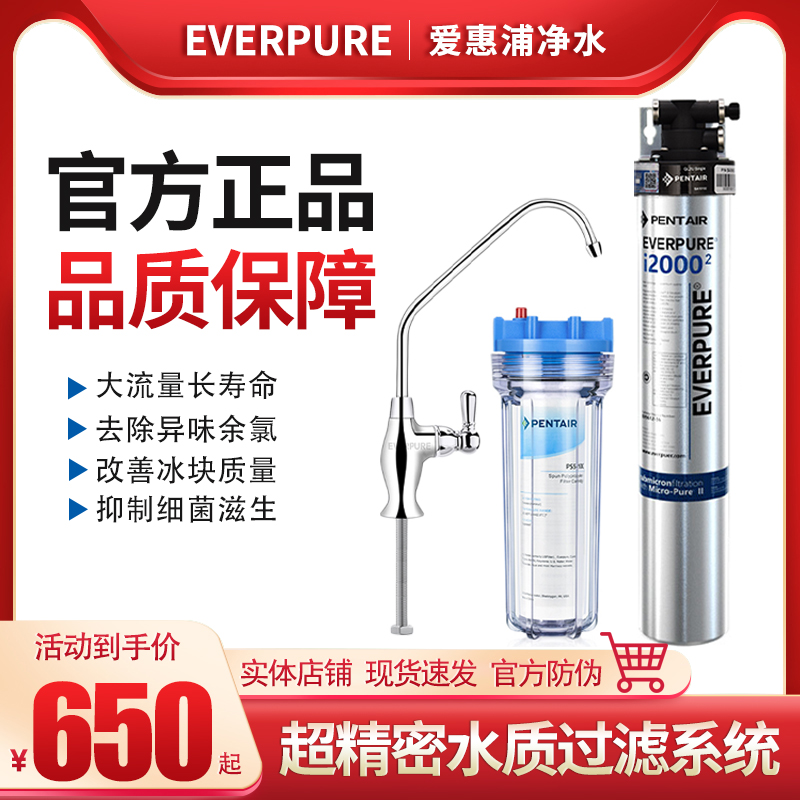 EHP i2000 (2) Commercial Coffee and Tea Shop Ice Maker Descaler i20002 Water Purifier Direct Drinking Water Filter