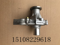 Chuanqi Mustang F12F16F10F99 Water Pump Cooling Water Pump Mustang F112F16 Water Pump New Original Factory