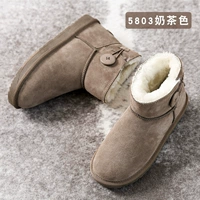 5803 Цвет чая с молоком