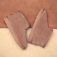 C5899 Basic Maroon Maroon