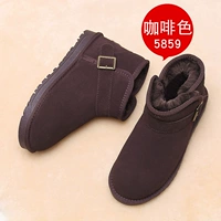 5859 кофе коричневый