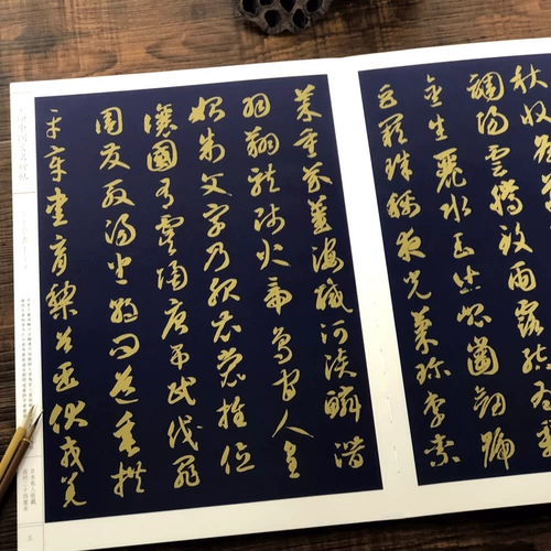 Чионгинг тысячи тысяч персонажей Вэнь Цзиньин знаменитые памятники посты Солнца Бауэна Знаменитая рабочая подборка из каллиграфии каллиграфия каллиграфия каллиграфия каллиграфия подкалиграфическая ручка Иннохорическая оригинальная времени Студенческая каллиграфия Получив книги